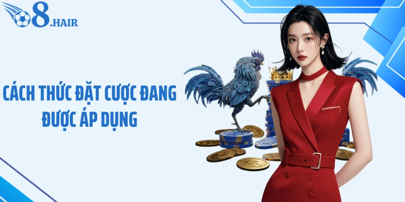 Cách thức đặt cược đang được áp dụng