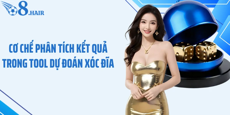 Cơ chế phân tích kết quả trong tool dự đoán xóc đĩa