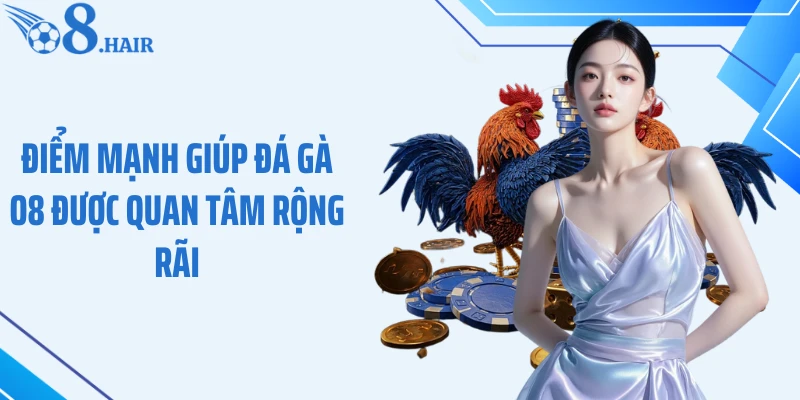 Điểm mạnh giúp đá gà O8 được quan tâm rộng rãi