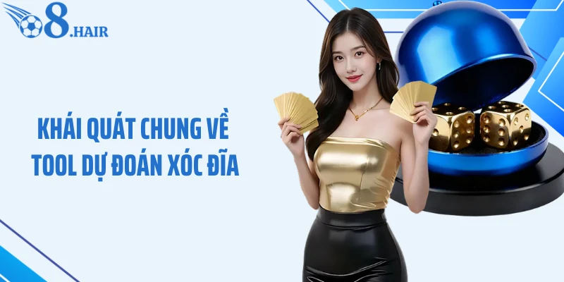 Khái quát chung về tool dự đoán xóc đĩa