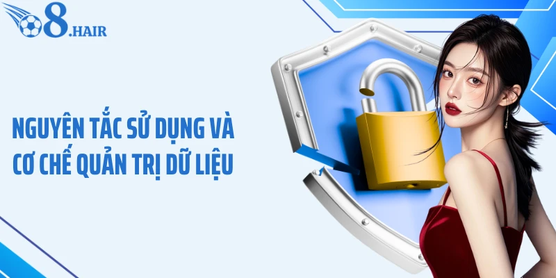 Nguyên tắc sử dụng và cơ chế quản trị dữ liệu