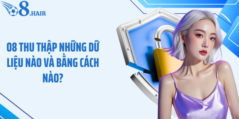 O8 thu thập những dữ liệu nào và bằng cách nào?