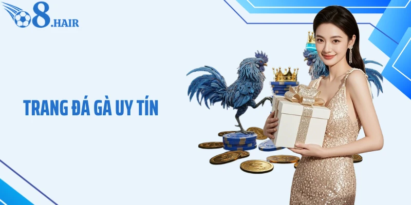 Trang Đá Gà Uy Tín O8 - Tốc Độ Và Trải Nghiệm Đỉnh Cao