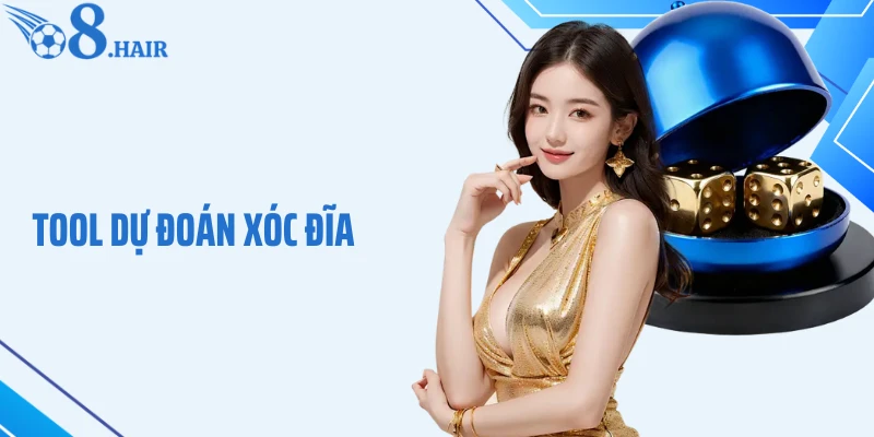 Tool Dự Đoán Xóc Đĩa: Công Cụ Hỗ Trợ Nhận Diện Cầu Chuẩn Xác