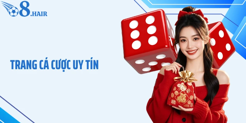 Trang Cá Cược Uy Tín O8: Điểm Đến Giải Trí An Toàn, Đẳng Cấp